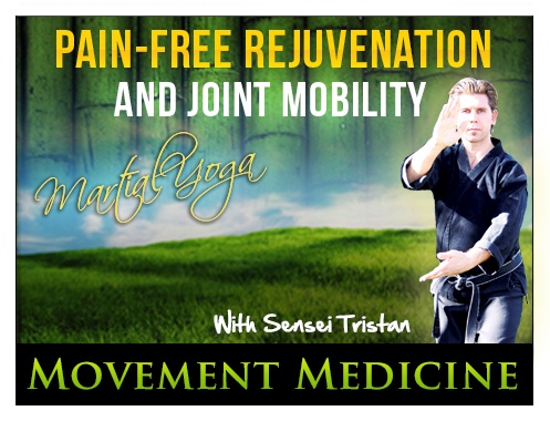 Read more about the article Movement Medicine