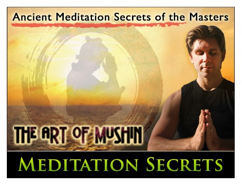 Read more about the article The Art of Mushin Meditation