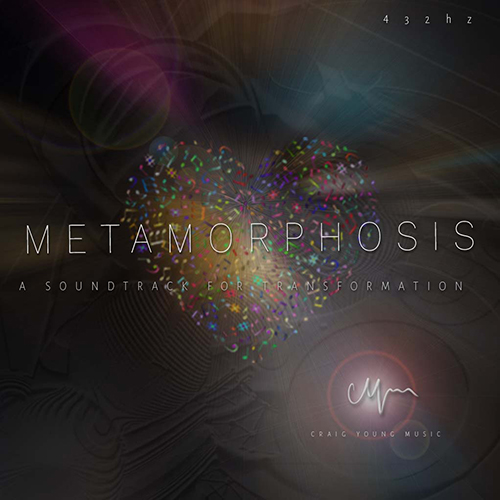 Read more about the article Metamorphosis
