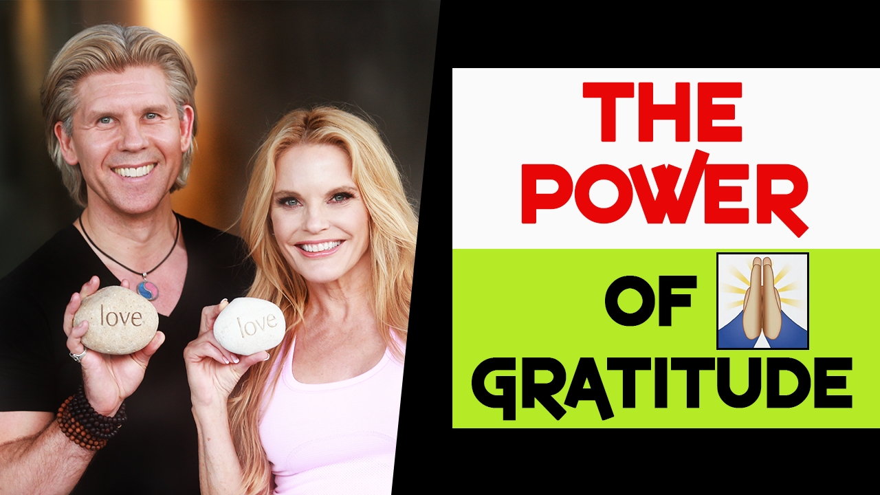 Read more about the article The POWER of Gratitude