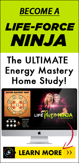 Life Force Ninja