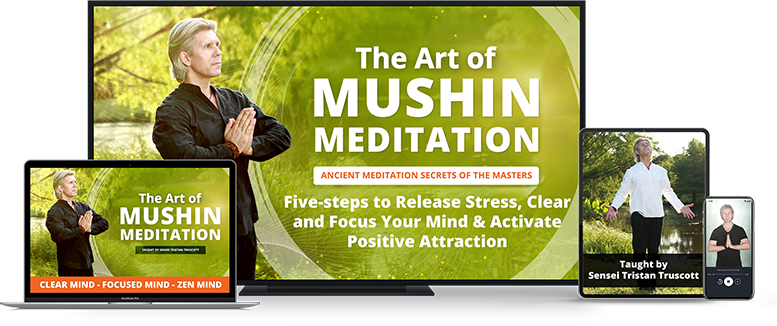 Mushin Meditation Product