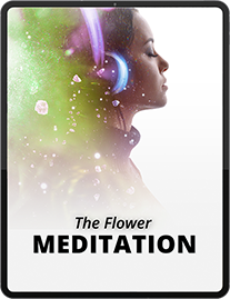 Flower Meditation