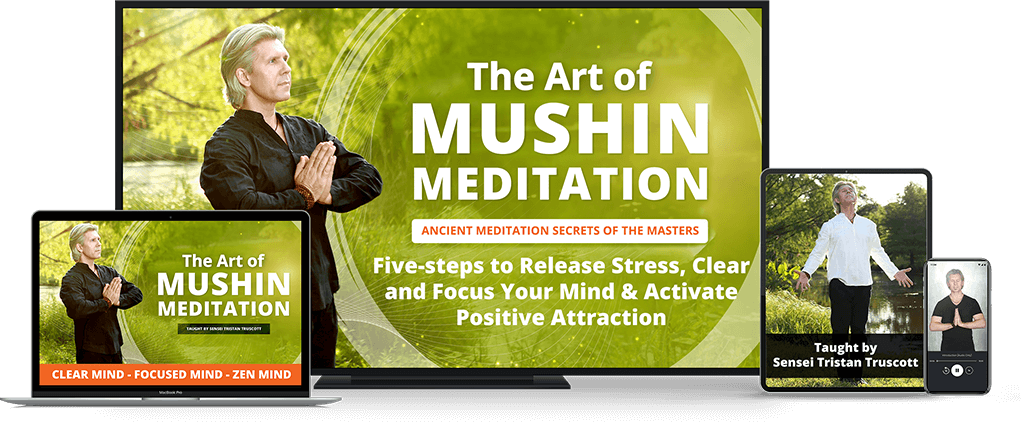 Meditation Mushin Product