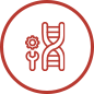 Maintainance