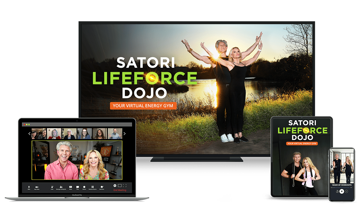 SATORI LIFE-FORCE DOJO