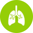 Autonomics icon