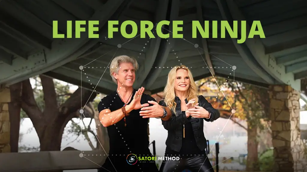 Life Force Ninja