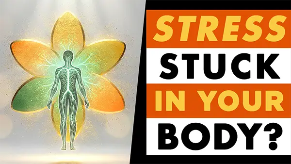 NERVOUS SYSTEM STRESS